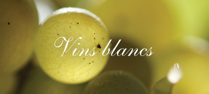 Nos vins blancs