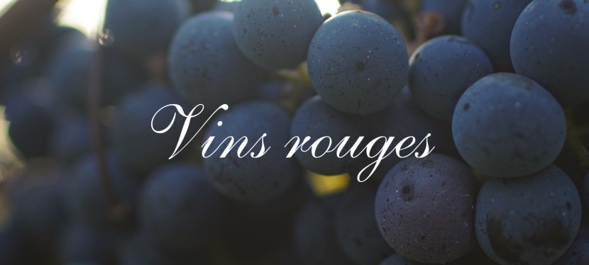 Nos vins rouges