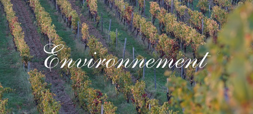 Environnement